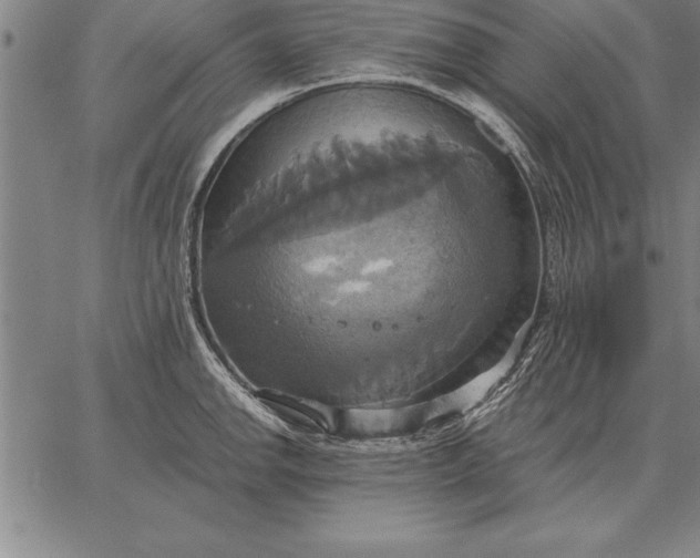 X0000067351142200604131744