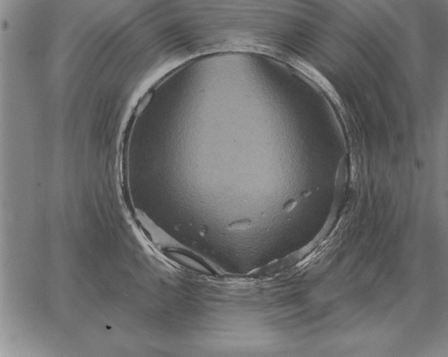 X0000067351144200604131744