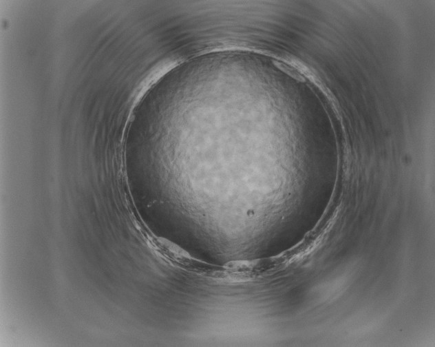 X0000067351145200604131744