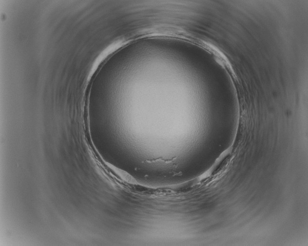 X0000067351146200604131744