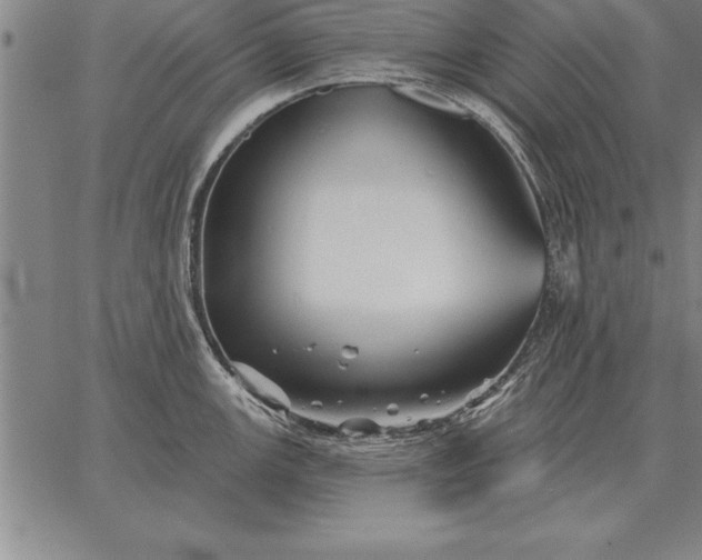 X0000067351147200604131744