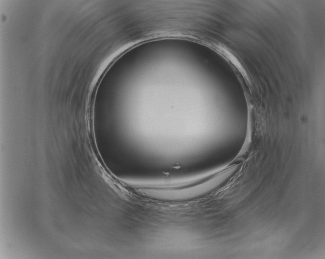 X0000067351148200604131744