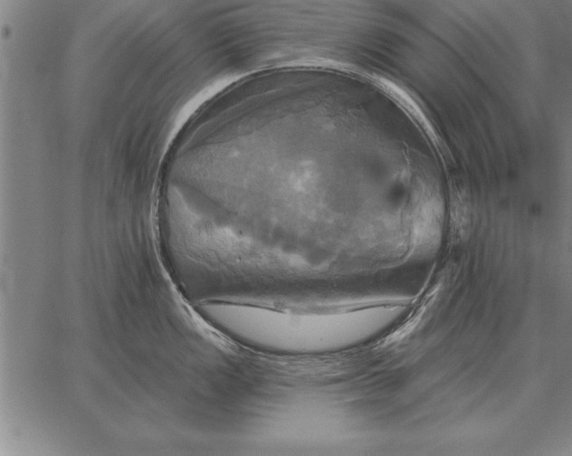 X0000067351149200604131744