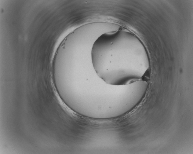 X0000067351152200604131744