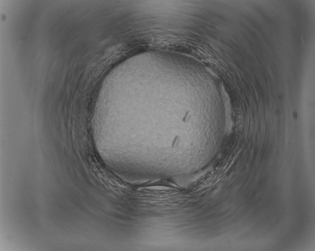 X0000067351153200604131743