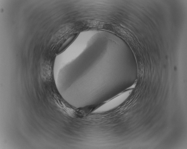 X0000067351154200604131743