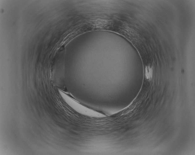 X0000067351155200604131743