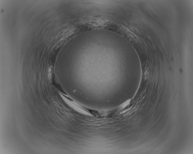 X0000067351156200604131743