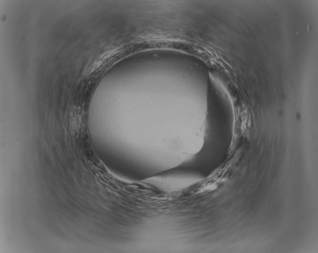 X0000067351157200604131743