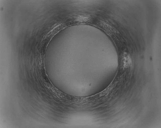 X0000067351158200604131743