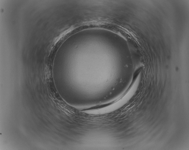 X0000067351160200604131743