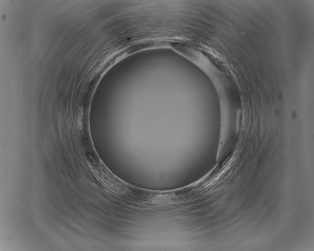 X0000067351161200604131743