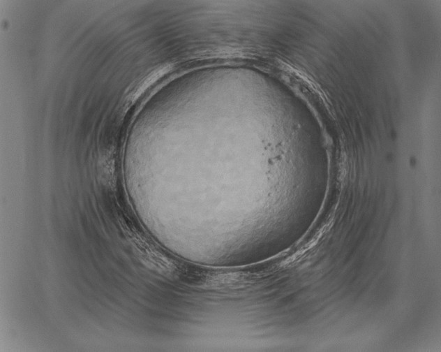 X0000067351162200604131743