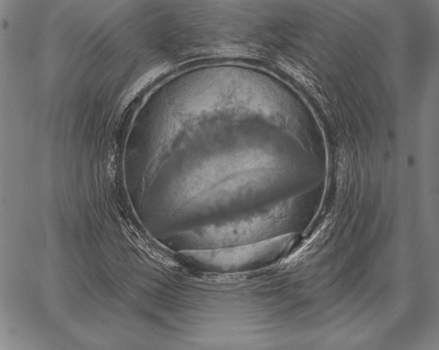 X0000067351163200604131743