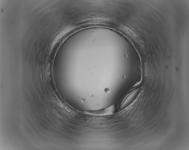 X0000067351164200604131743