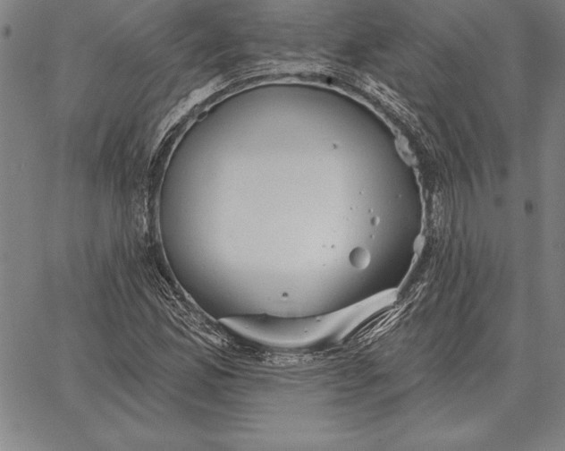 X0000067351165200604131743