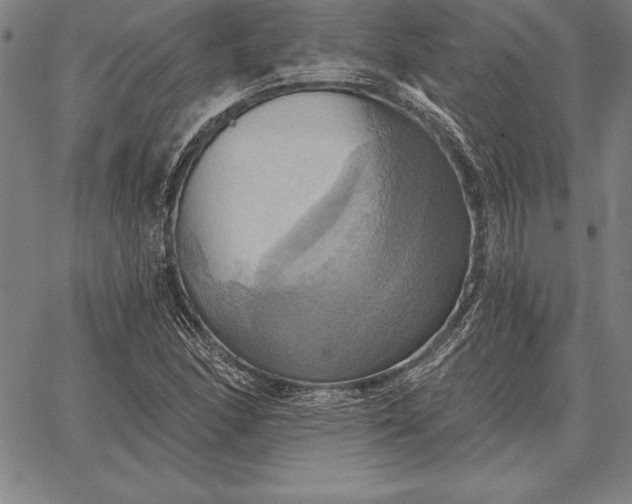 X0000067351166200604131743