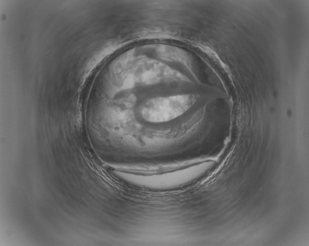 X0000067351167200604131743