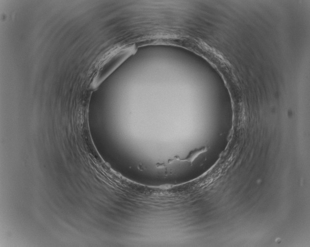 X0000067351169200604131743