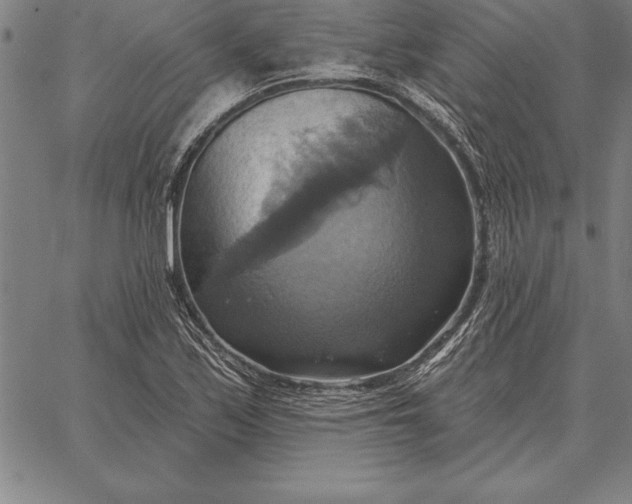 X0000067351171200604131743