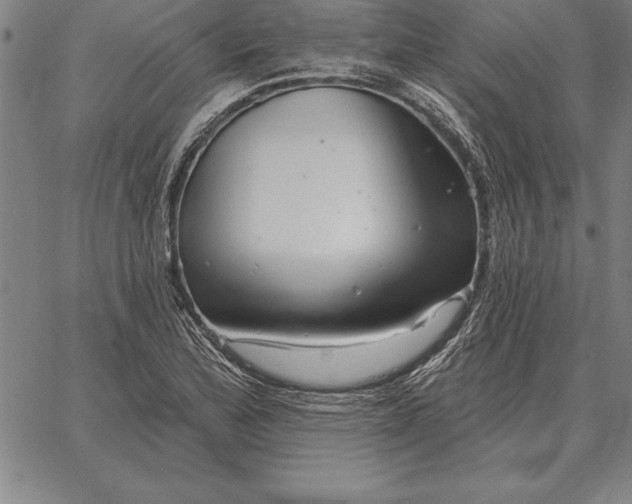 X0000067351172200604131743