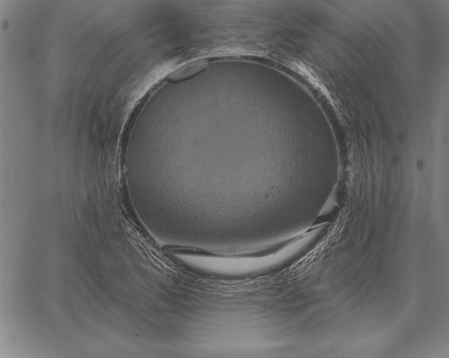 X0000067351173200604131743