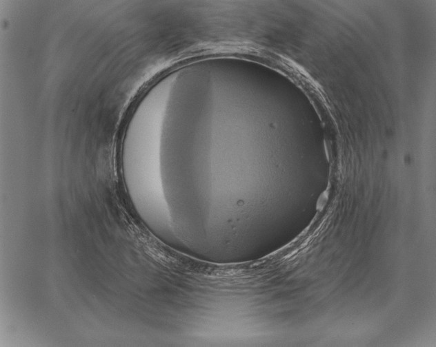 X0000067351174200604131743