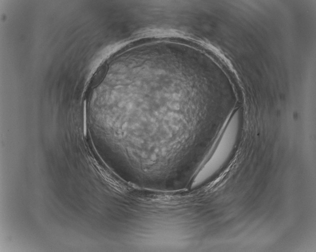 X0000067351175200604131743