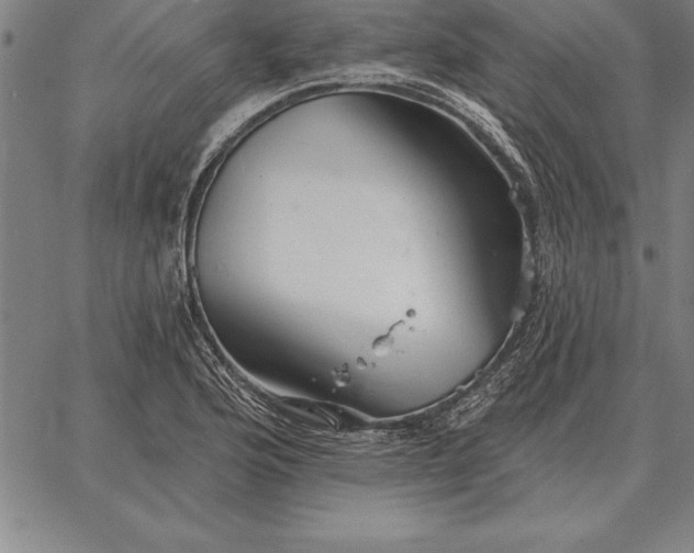 X0000067351176200604131743