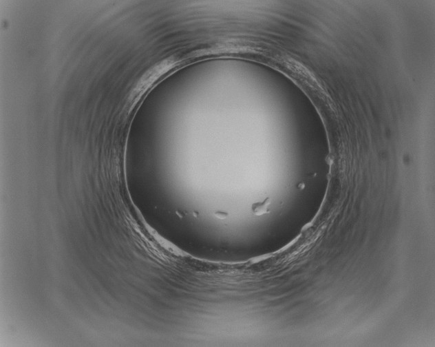 X0000067351177200604131743