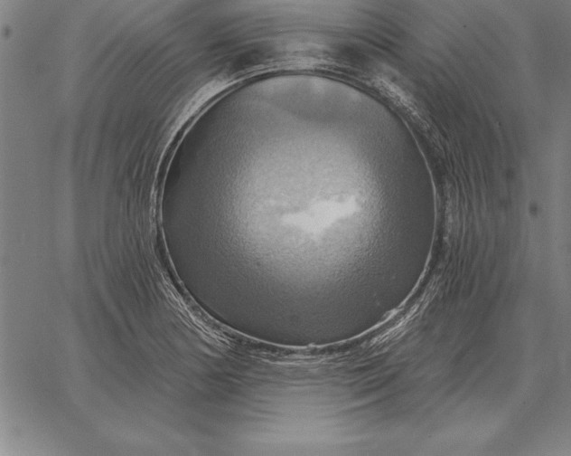 X0000067351178200604131743