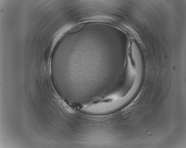 X0000067351180200604131743