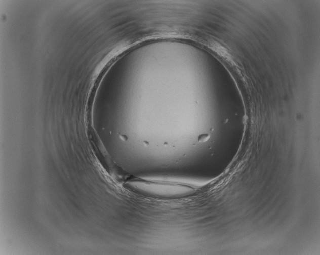 X0000067351181200604131743