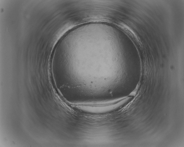 X0000067351182200604131743