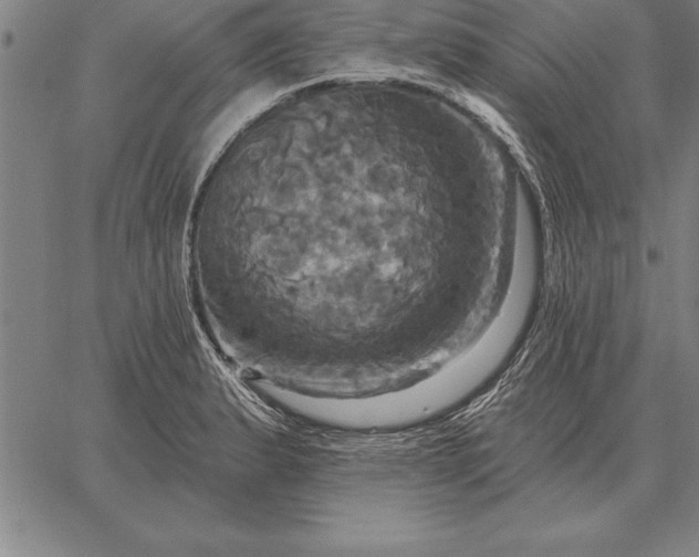 X0000067351183200604131743