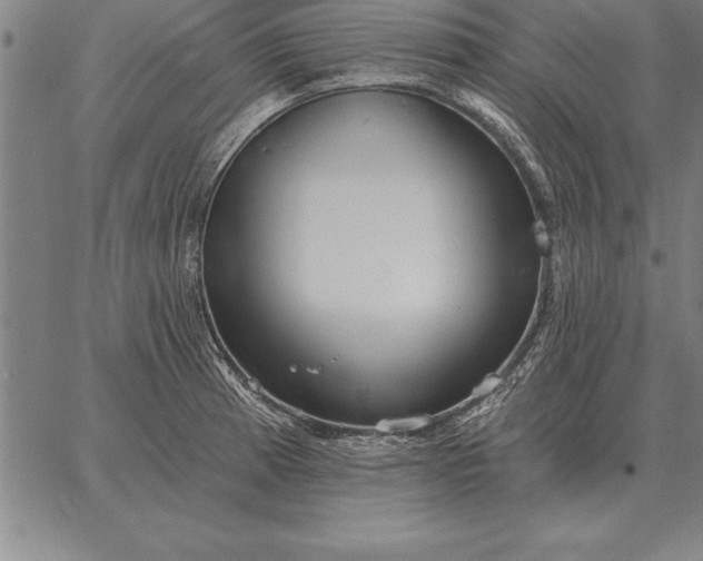 X0000067351185200604131743