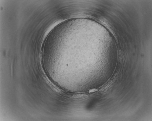 X0000067351187200604131743