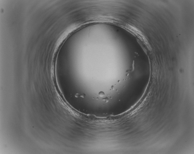 X0000067351188200604131743