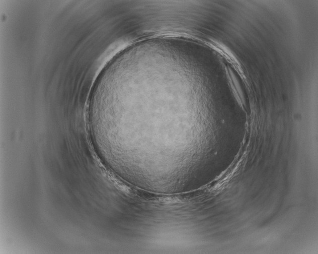 X0000067351190200604131743