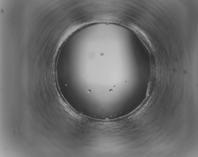 X0000067351192200604131743