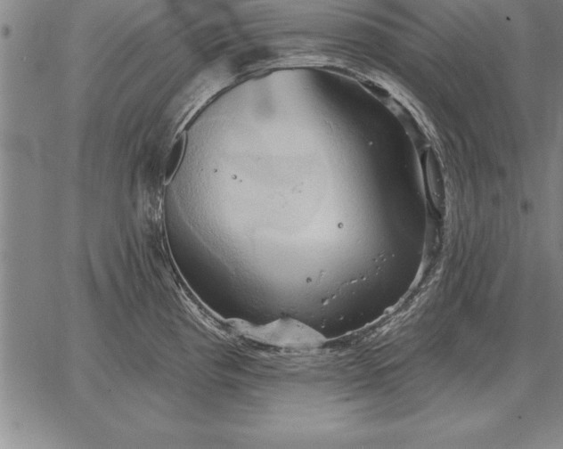 X0000067351193200604131743