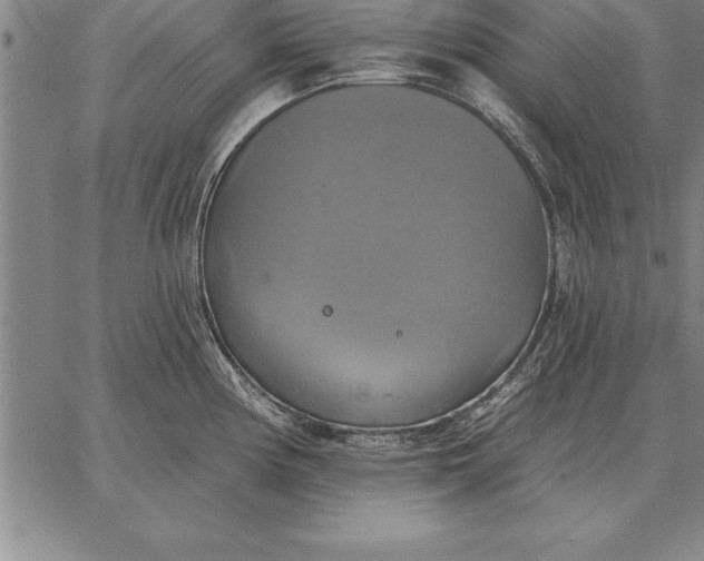 X0000067351194200604131743