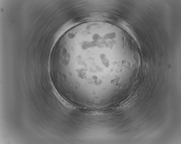 X0000067351195200604131743