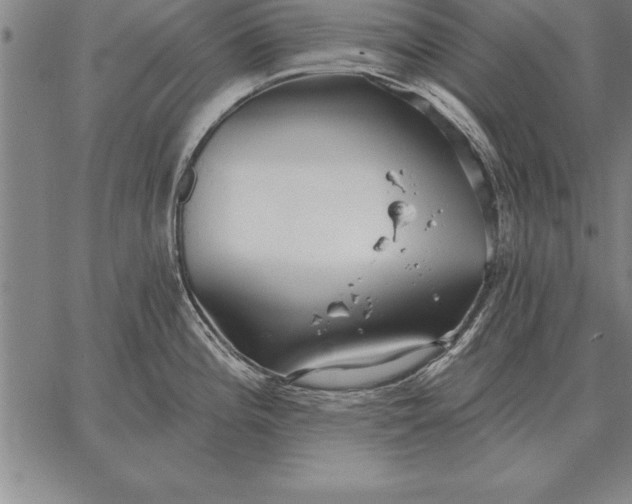 X0000067351196200604131743