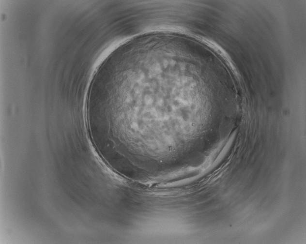 X0000067351199200604131743