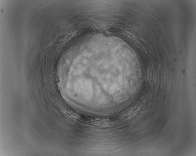 X0000067351201200604131742