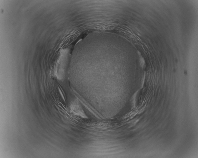 X0000067351202200604131742