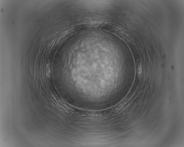 X0000067351204200604131742