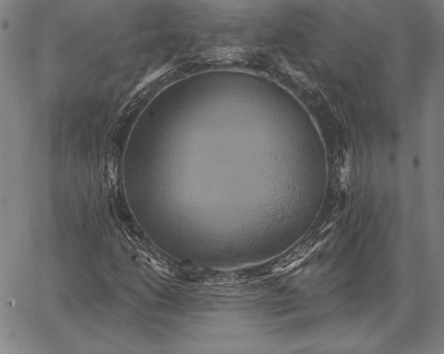 X0000067351206200604131742