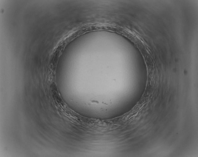 X0000067351207200604131742